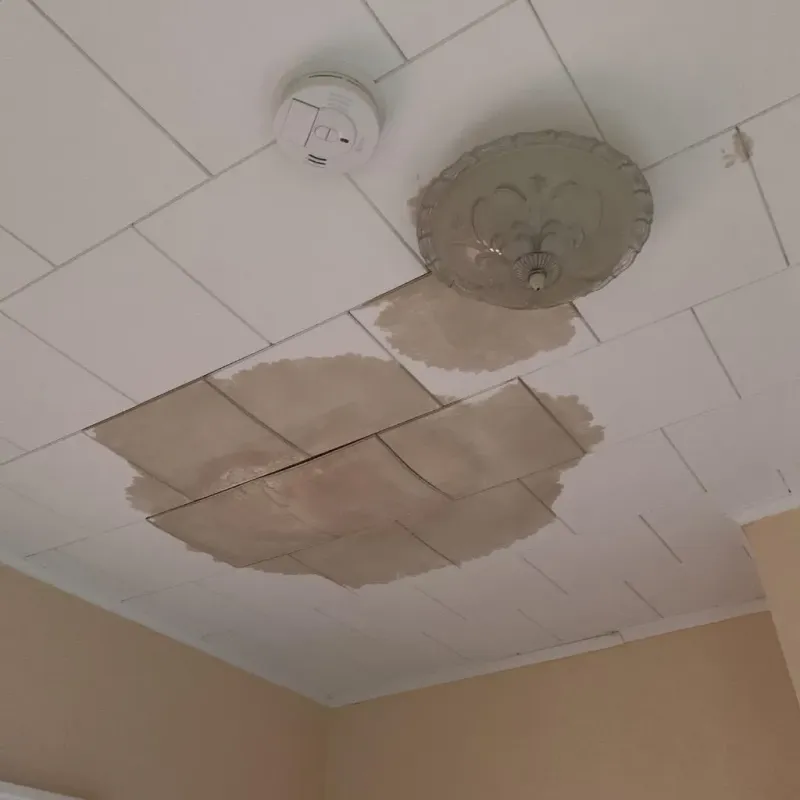 Ceiling Water Damage Repair in Pleasant Grove, OH