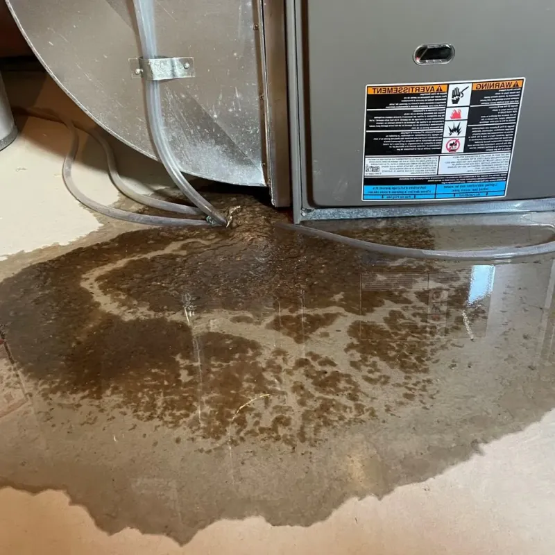Pipe Burst and Leak Restoration in Pleasant Grove, OH